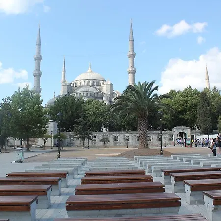 Nagehan Old